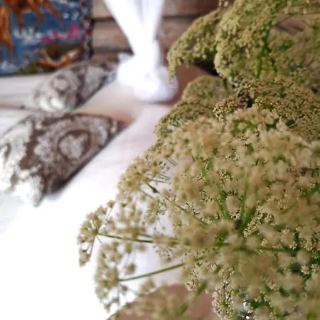 Eraejaerven Eerola Maison d'hôtes