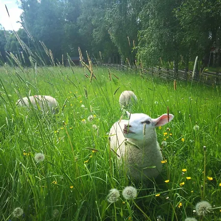 Eraejaerven Eerola Gasthof 3*