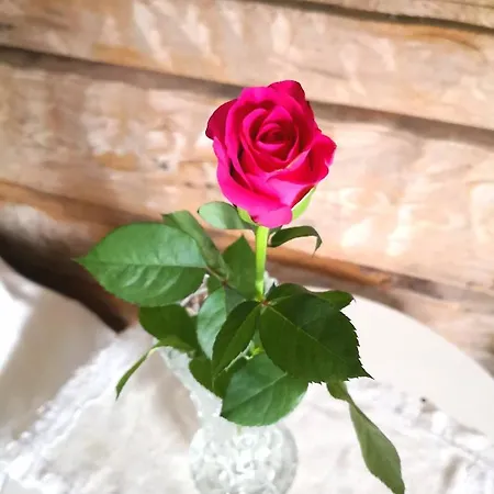 Eraejaerven Eerola Erajarvi