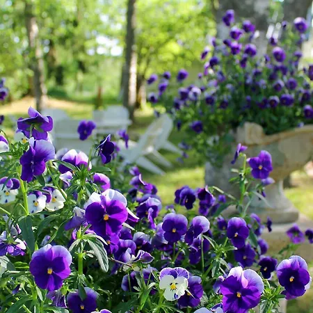 Maison d'hôtes Eraejaerven Eerola 3*